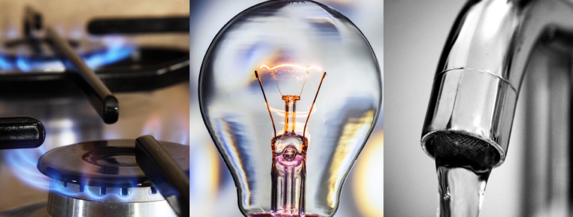 Scopri di più sull'articolo BONUS SOCIALE 2021: automatico da gennaio