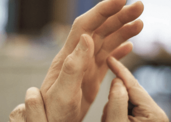 Servizio civile alla Lega del Filo d’Oro