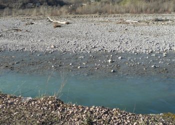 Raccolta legna secca lungo i fiumi – competenza regionale