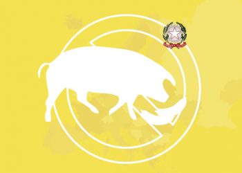 ATTENZIONE: PESTE SUINA