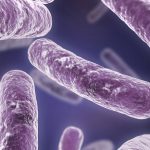 Linee guida per la prevenzione ed il controllo della legionellosi