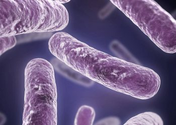 Linee guida per la prevenzione ed il controllo della legionellosi