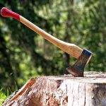 Ordinanza Sindacale per abbattimento albero parco pubblico via del Covo